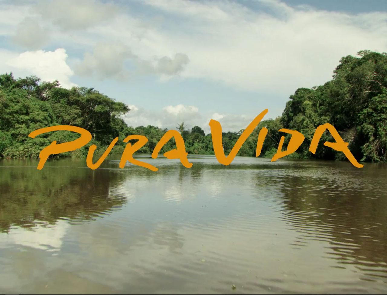Pura Vida – Amazon