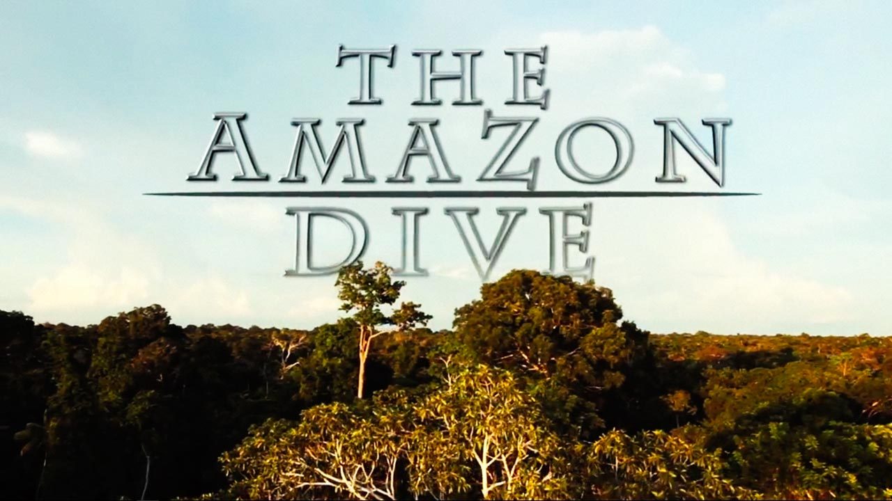 The Amazon Dive